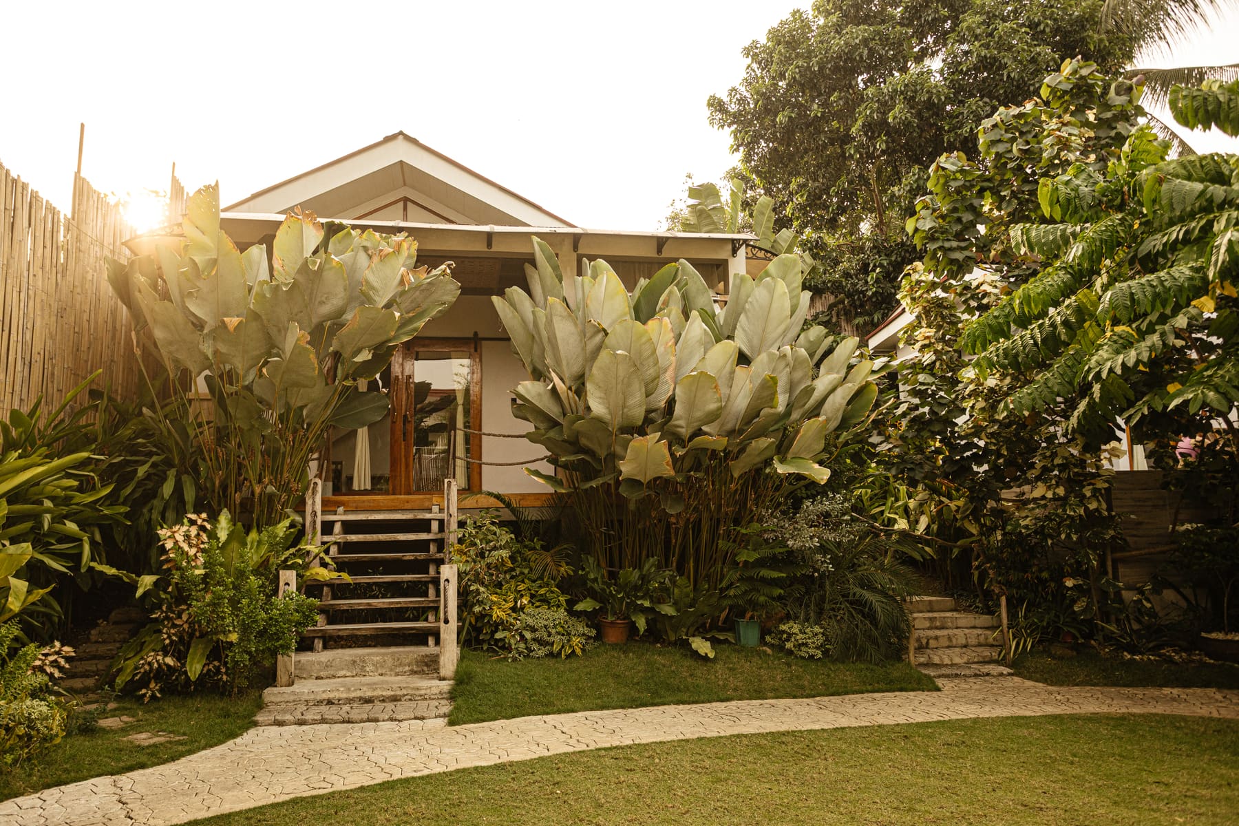A villa framed by tropical plants