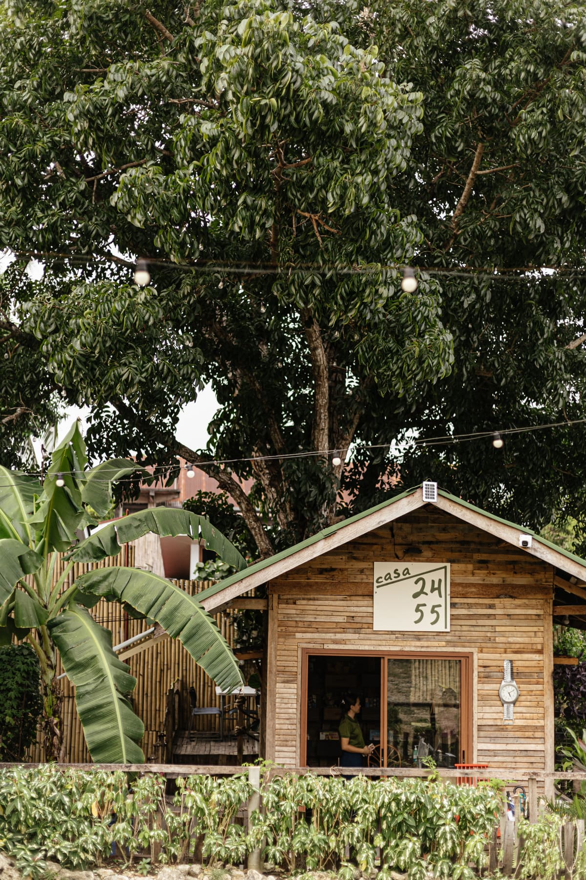 Reception hut under string lights